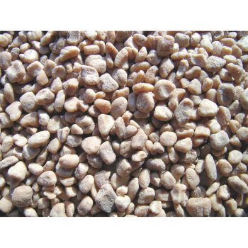 ingrandimento nocciolo di oliva